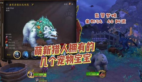 魔兽世界猎人用什么宝宝[图1]