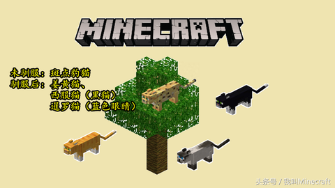 我的世界如何驯服豹猫[图2]