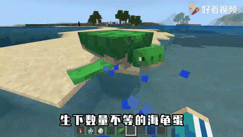 我的世界海龟怎么驯服[图1]