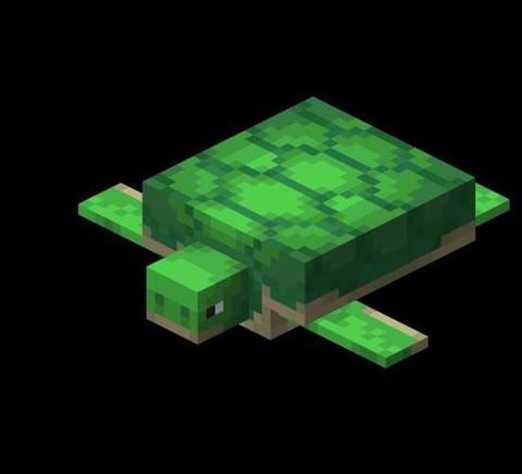 我的世界海龟怎么驯服[图2]