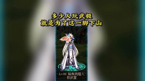 dnf乌鸡带什么武器[图2]