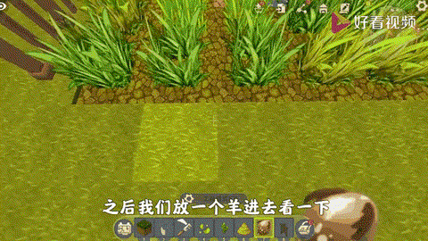 迷你世界速龙怎么喂[图1]