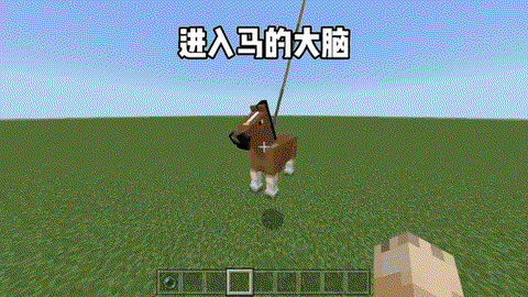 我的世界怎么让马能飞[图1]