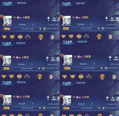 怎么查看王者荣耀id[图1]