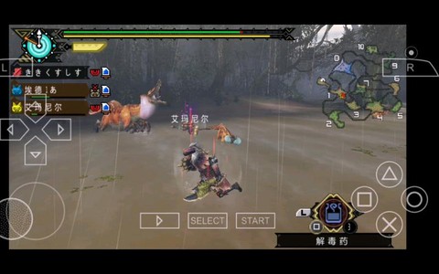 怪物猎人3毒狗龙怎么打[图1]