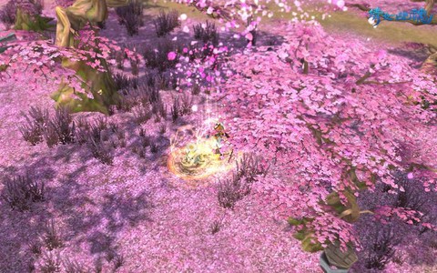 倩女幽魂帮花怎么选的