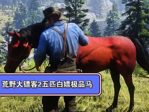 如何洗马荒野大镖客