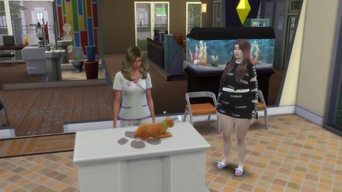 模拟人生4什么专业