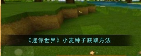迷你世界怎么获得种子[图1]