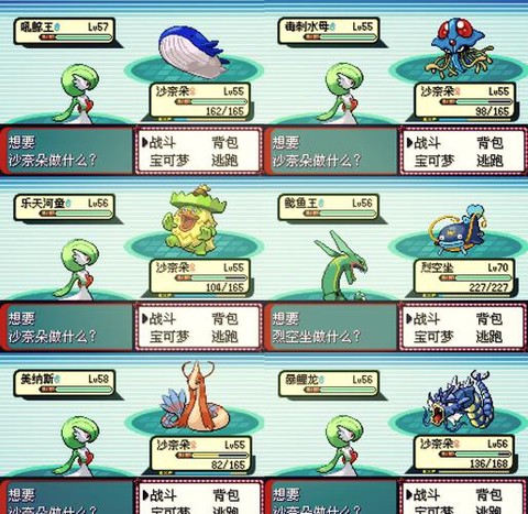 口袋妖怪周目什么意思[图2]