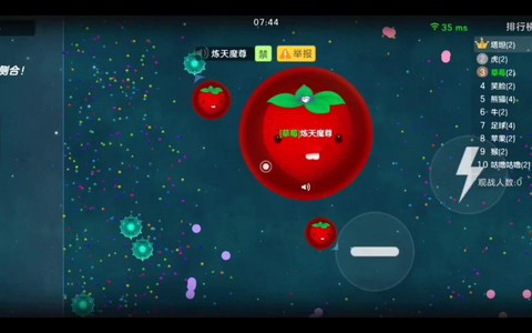 新版球球大作战怎么不显示地区