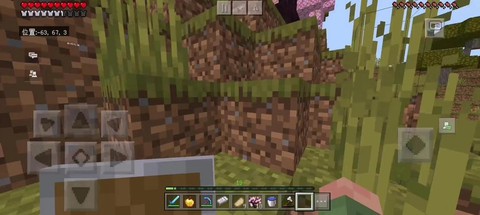 我的世界怎么种种子[图1]