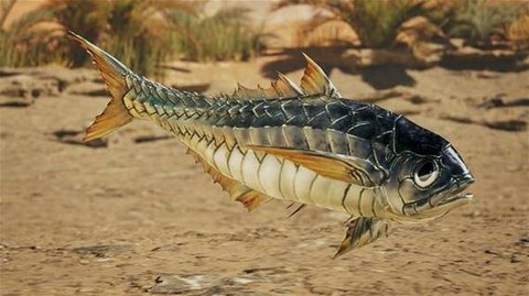 怪物猎人3鱼有什么用[图1]